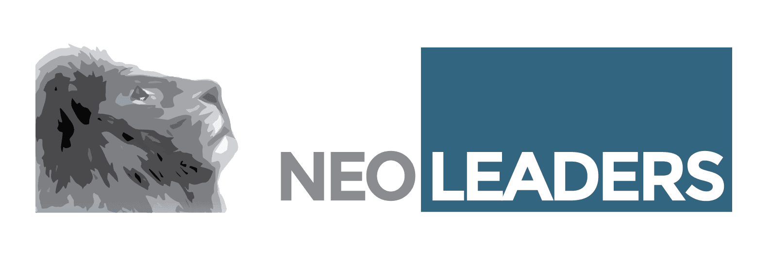 NEO Leaders